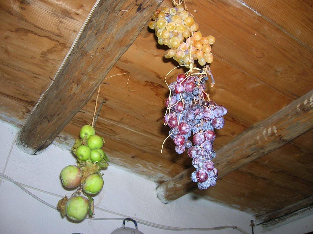Bono Serranello Azienda Agricolaアパートメント エクステリア 写真